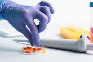 Human clinical trials
