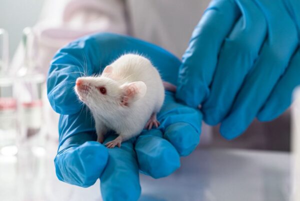 Benefits and Options for Using Animals in Research
