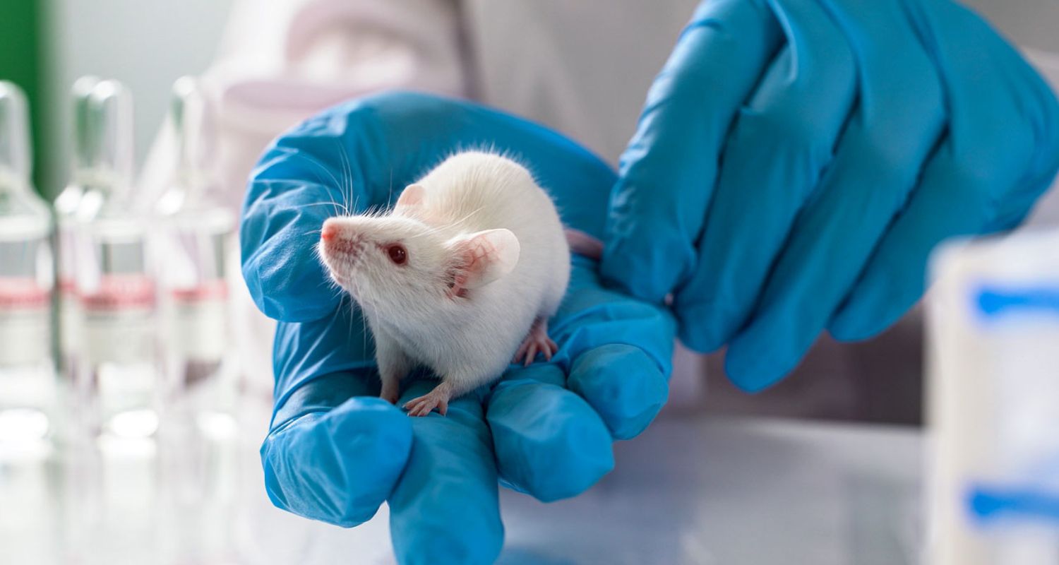 advantages of using animals in medical research