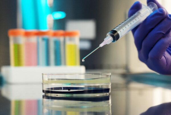 Drug Development Stages